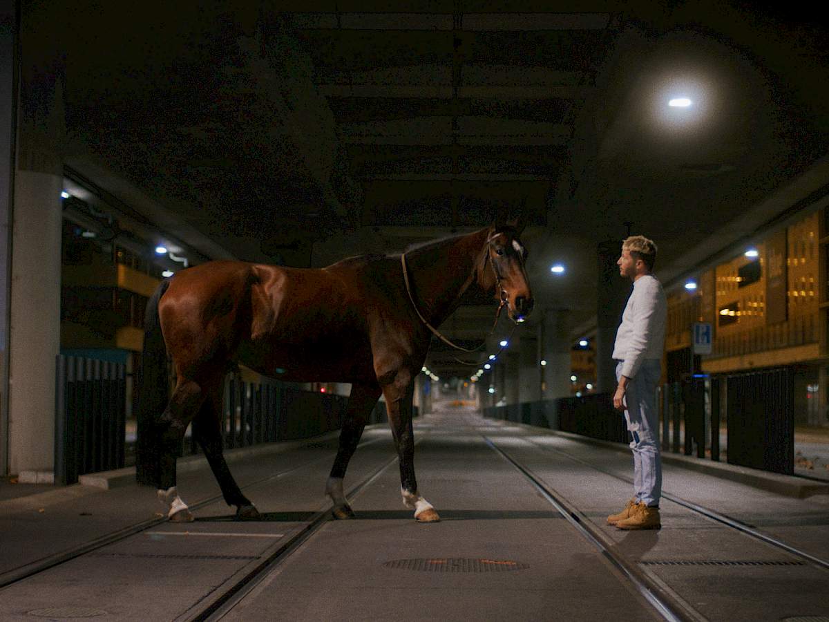 Ross und Reiter um 4 Uhr morgens unter der Hardbrücke